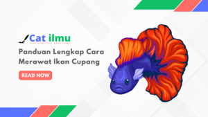 Panduan Lengkap Cara Merawat Ikan Cupang Catilmu